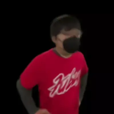 Image for Progressive Multi-Scale Light Field Networks